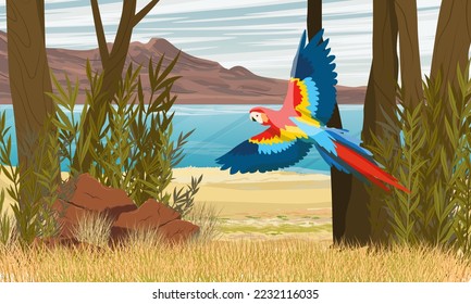 A bright parrot macaw flies over a tropical ocean shore. South America and Africa. Realistic vector landscape