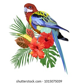 Bright parrot Rosella, hibiscus flowers and tropical leaves. Vector illustration.