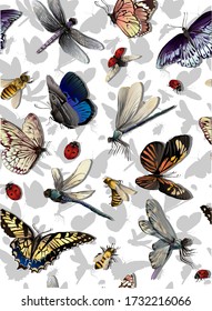 Bright pattern with different insects such as ladybug, dragonfly, bee, butterfly with white background with silhouette of insects.