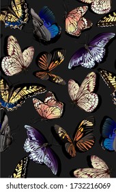 Bright pattern with insects such as colourful butterflies on black background.