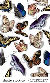 Bright pattern with insects such as colourful butterflies on white background