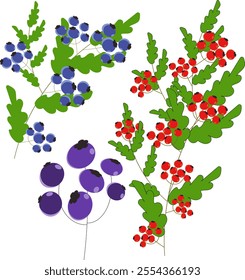 Bright pattern with rowan, blueberries and green leaves