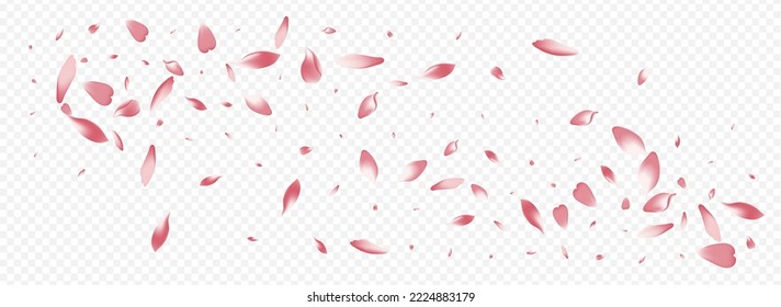 Bright Peach Vector Panoramic Transparent Background. Flower Blow Texture. Cherry Garden Card. Rosa Realistic Template. Light Confetti Spa Pattern.