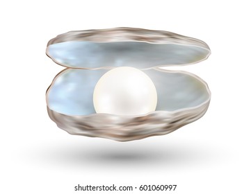 bright pearl in a opened sea shell 