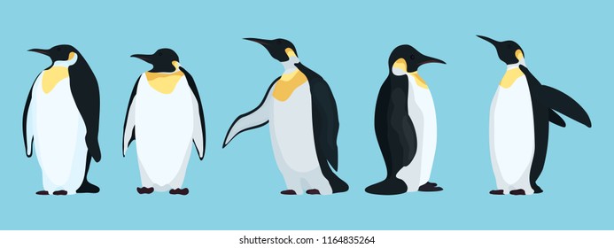 bright penguins characters in different poses.stock vector illustration