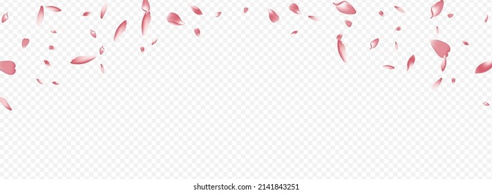 Bright Petal Vector Panoramic Transparent Background. Lotus Mother Banner. Leaf Flying Illustration. Rose Beauty Pattern. Pink Peach Rain Texture.