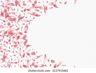 Bright Petal Vector Transparent Background. Leaf 3d Design. Blossom Wedding Texture. Sakura Falling Poster. Pink Floral Japan Card.