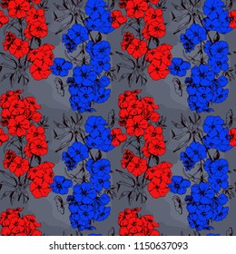 Bright phloxes, blue and red flowers on gray