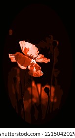 11,981 Red Poppies With White And Black Background Images, Stock Photos ...