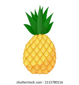 Bright pineapple with cartoon style. Yellow tropical fruit. Pineapple juice. Vector illustration isolated on white background.