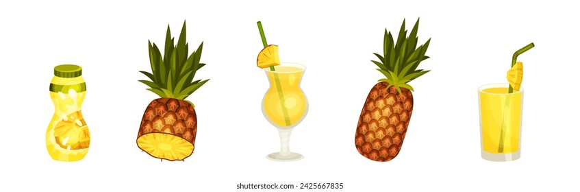 Bright Pineapple Fruit Sweet Dessert and Food Vector Set