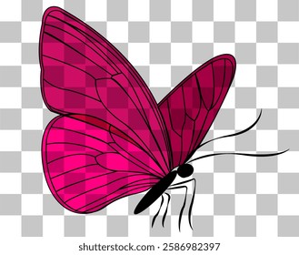 Bright pink butterfly illustration with intricate wing patterns on a transparent background