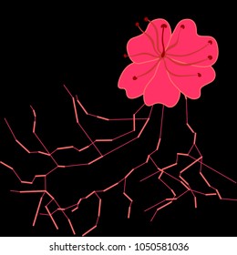 Bright pink cherry flower.