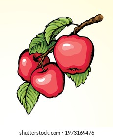 Bright pink color hand drawn ripen raw fresh twig stem grow logo emblem design retro art doodle line sketch print style. Close up view bio eco sweet juicy health vegan diet white autumn sky text space