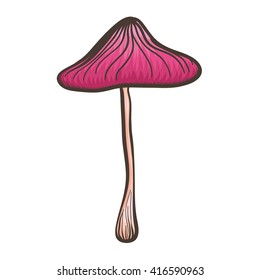 Bright pink dangerous mushroom. Vector illustration with line art  toadstool mushroom on white background.
