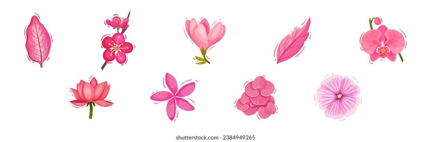 Bright Pink Flower and Showy Bud as Garden Element Vector Set