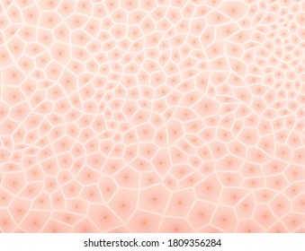 Bright pink human skin cells