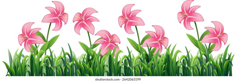 Bright pink lilies stand gracefully among lush green leaves, showcasing a vibrant and fresh botanical illustration
