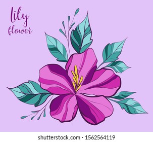 Bright pink lily with leaves. Beautiful lily flower. Flower illustration for use for printing clothes, t-shirts, cards.
