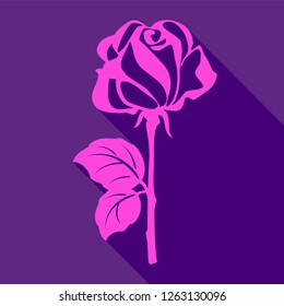 Bright pink rose, on a violet background, vector illustration