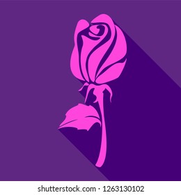 Bright pink rose, on a violet background, vector illustration