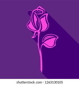 Bright pink rose, on a violet background, vector illustration