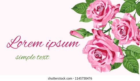 Bright pink roses vector floral design for greeting card, copy space