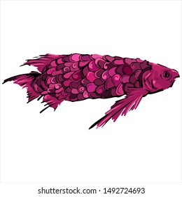 Bright pink scales fish vector isolated 