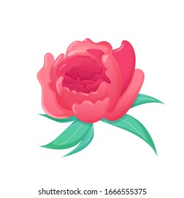 Bright pink spring flower isolated on white. Vector design element for greeting and advertising products.