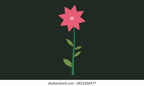 A bright pink star-shaped flower with a green stem and leaves, isolated on a white background. Perfect for nature, botanical, or decorative designs.