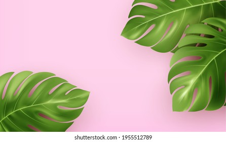 Bright pink summer background with tropical realistic monstera leaves. Background design for advertising leaflet, banner, flyer. Vector illustration EPS10