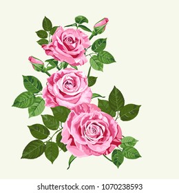 Bright pink vector roses bouquet on the pale green background for floral decoration