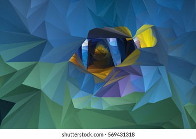 bright polygonal fish in the ocean