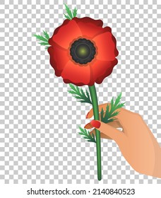 Bright poppy in female hand isolated transparent background  Illustration and red spring flower in gradient style