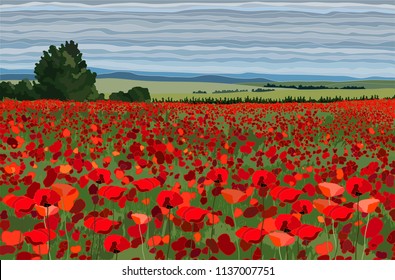 Bright poppy field with bushes, trees and blue sky vector illustration