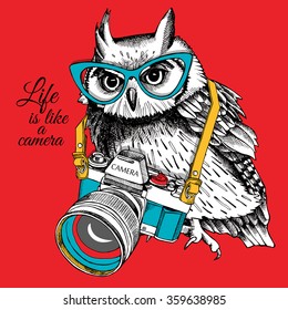 Bright poster. Owl in glasses with a camera on red background. Vector illustration.