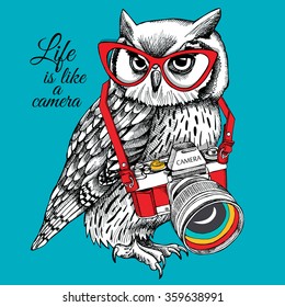 Bright poster. Owl in glasses with a camera on blue background. Vector illustration.