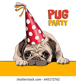 Bright poster. Portrait of a Pug in a red polka dot Party hat. Vector illustration.