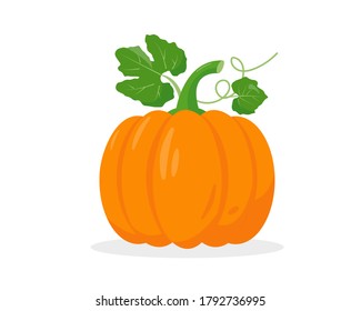 Bright pumpkin with leaves isolated on white background. Vector illustration.