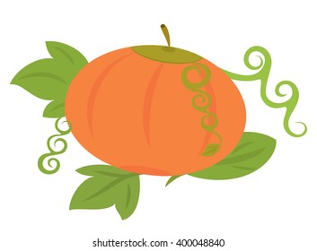 Bright pumpkin on isolated background