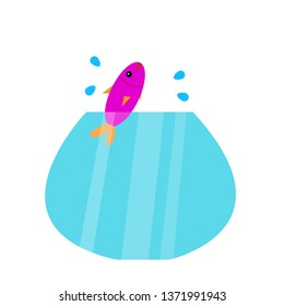 bright purple fish jumps out of the aquarium flying around a drop of water the concept of pets and animals