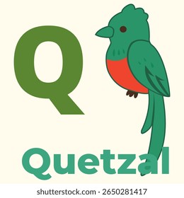Brilhante ilustração de pássaro quetzal com a letra Q. Ótimo para conjuntos de alfabetos, ferramentas de aprendizagem de pássaros e flashcards de crianças. Um único animal da floresta tropical da América Central.