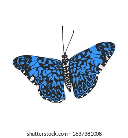 bright realistic butterfly, vector illustration