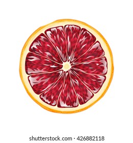 Bright realistic illustration of blood orange slice isolated on white background