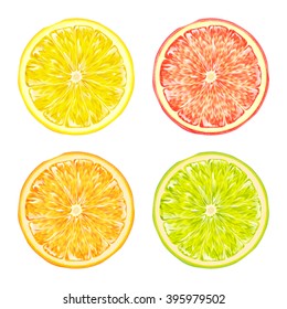 Bright realistic illustration of citrus slices of lemon, grapefruit, lime and orange isolated on white background.