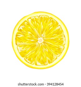 Bright realistic illustration of lemon slice isolated on white background