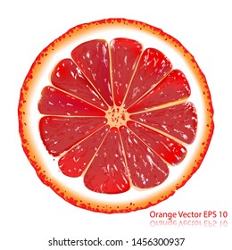 Bright realistic illustration of Red blood orange slice isolated on white background.Vector illustration.