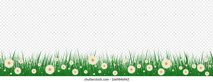 Bright realistic pattern of green grass and spring flowers for decorating Easter cards. Grass And Flowers Border Set With Gradient Mesh, Vector Illustration