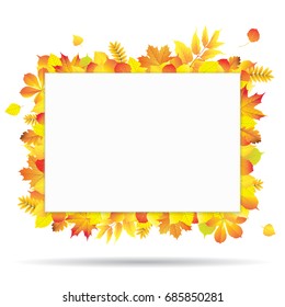 Bright rectangular autumn banner decorated with different autumn leaves. Vector illustration.