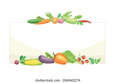 Bright Rectangular Vegetable Frame with Ripe and Fresh Garden Cultivar Vector Illustration